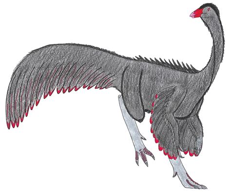 Ornithomimus by Suchomimus62 on DeviantArt