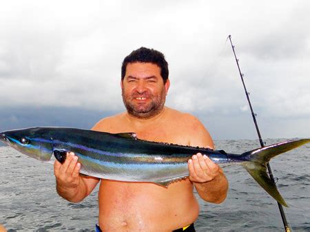 Rainbow Runner - Black Marlin Fishing - Marlin Panama