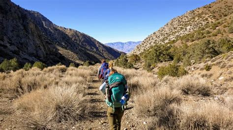 Tips and Tricks for Hiking in the Desert