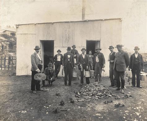 Old photographs of Rat-catchers, 1900s - Rare Historical Photos