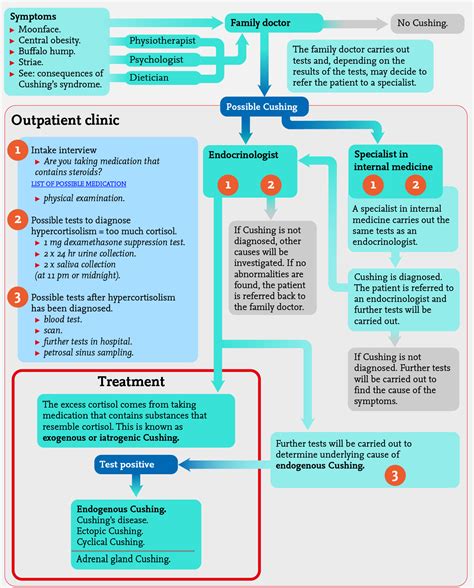 Cushing's syndrome infographic - Adrenals.eu