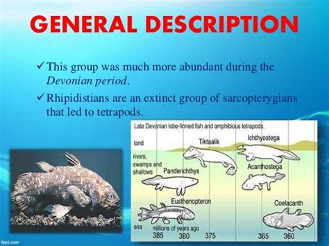 Class Actinopterygii and Class Sarcopterygii