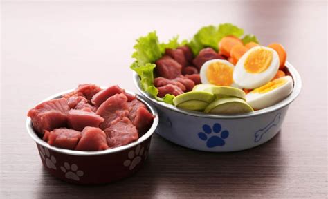 The top 15 Ideas About Raw Dog Food Diet – Easy Recipes To Make at Home