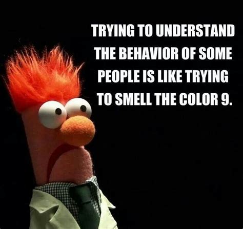 Smelling number 9 | Teaching | Funny, Funny quotes, Humor