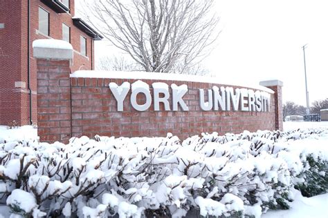 Programs | York University Online