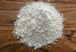 Using Food Grade Diatomaceous Earth for Ants | ThriftyFun