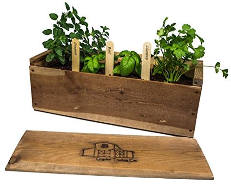 Indoor Herb Garden Planter Box Kit with Basil, Cilantro, Oregano, Parsley, Dill Seeds and Soil ...