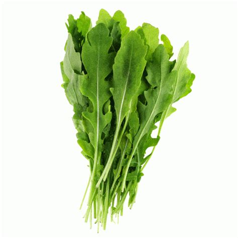 Organic Arugula Seeds - Natural Seed Bank