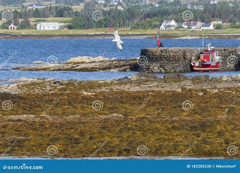 View of the Coast of Broadford, Isle of Skye Editorial Stock Photo ...