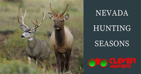 The Best Guide for Nevada Hunting Seasons - Know It All, 2018 - 2019