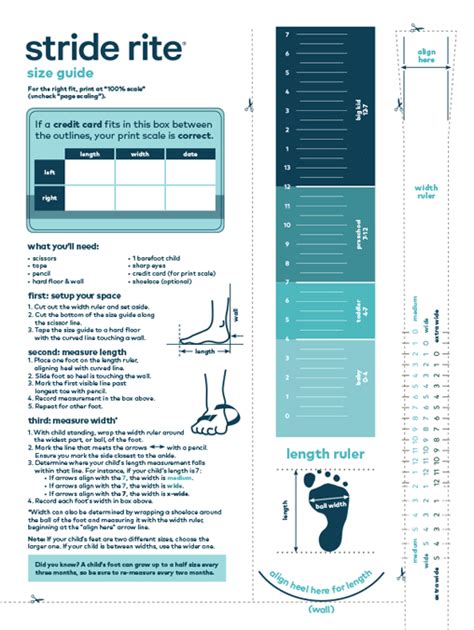 Kids' Shoe Size Chart, Baby & Toddler Shoe Size Chart | Toddler shoe size chart, Stride rite ...