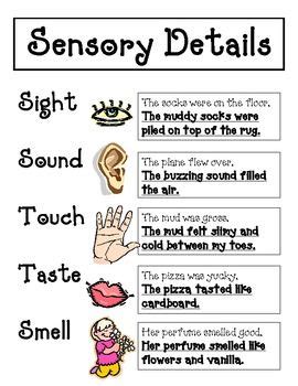 Sensory and Imagery Test | Reading Quiz - Quizizz