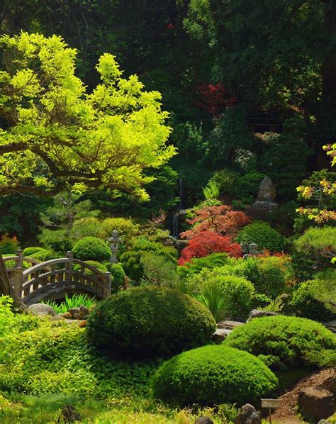 hakone gardens | First posting with my new Sony NEX-7. Hakon… | Flickr