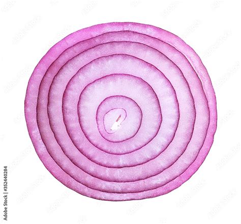 Violet onion slice on a white background, top view. Sliced red onion rings. Stock Photo | Adobe ...