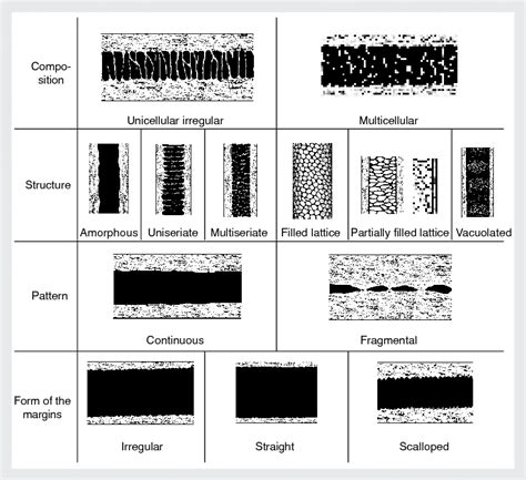 Medulla classification system used in our hair key to identify wild and ...