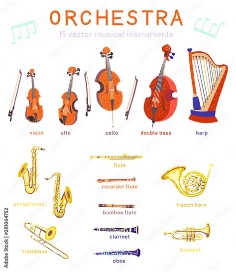 Big set of vector strings and wind classical musical instruments. Violin, alto, cello, double ...