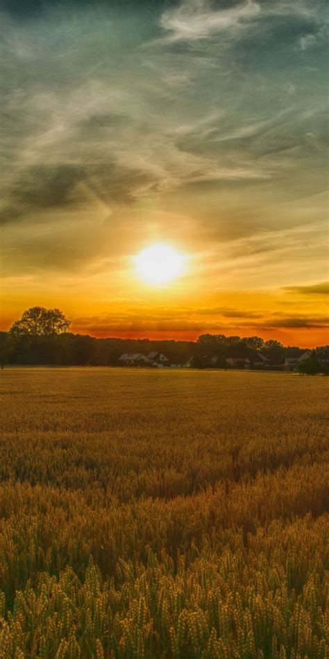 Summer, sunset, farm, landscape, nature, 1080x2160 wallpaper | Sunset ...