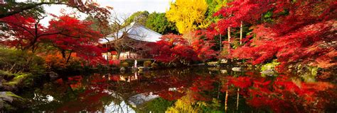 Kyoto: The illustrious former imperial capital - Wonderful Japan