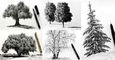 How to Draw (Realistic) Trees with Pen & Ink - Ran Art Blog