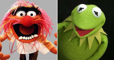 Which Muppet Are You Based On Your MBTI | ScreenRant