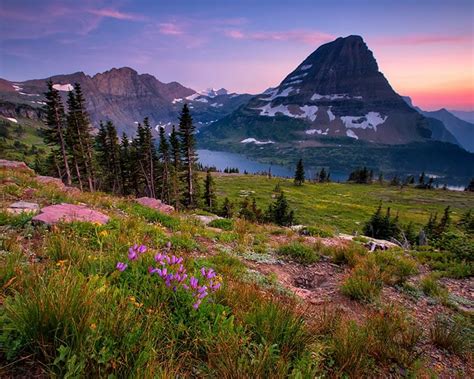 Hidden Lake Overlook Guided Day Hike - Glacier National Park