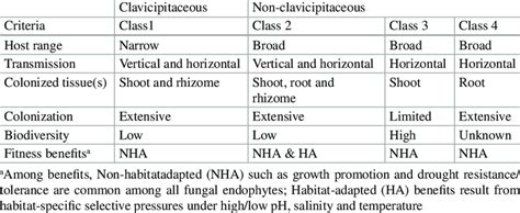 Classification of fungal endophytes after Rodriguez et al. (2009 ...