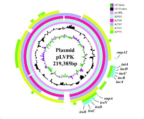 | Alignment of the virulence genes-carrying plasmid pLVPK and contigs... | Download Scientific ...