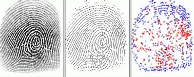 Fingerprint Analysis Question