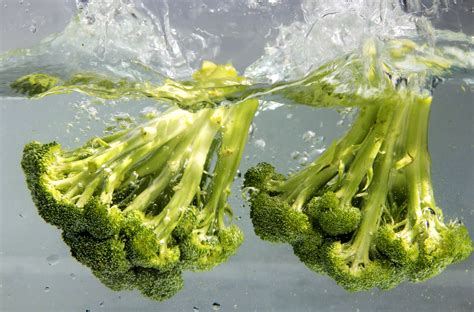 Free picture: broccoli, terrific, source, vitamins, well, dietary fiber