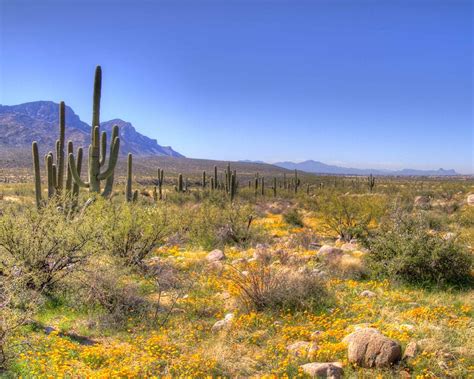 Desert Stuff : Photo | Photo, Colorado plateau, Natural landmarks