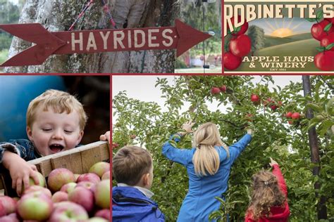 Robinette's Apple Haus & Winery Has Launched Their New Maze