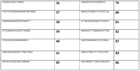 Glioblastoma: Final Stages Of Glioblastoma Multiforme