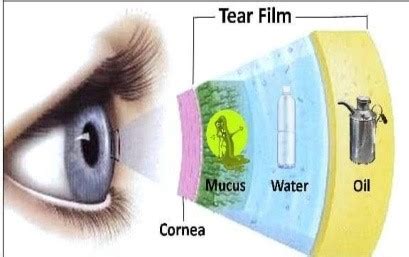 Tear Film Dynamics - Optography