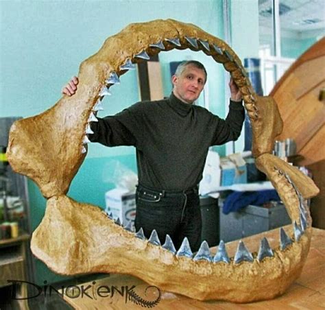 Life Size Megalodon Shark Jaw Replica for Sale Giant Fossile | Etsy UK