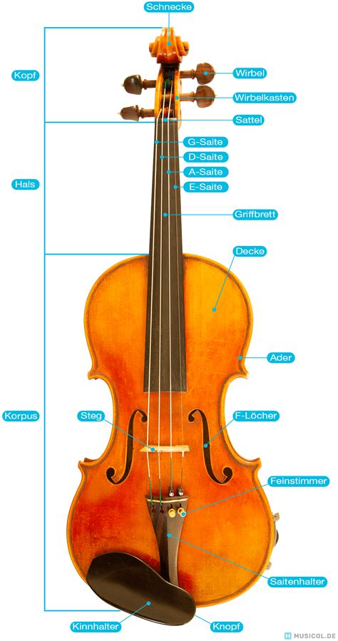 Aufbau der Geige | Geige lernen, Geige, Violine lernen