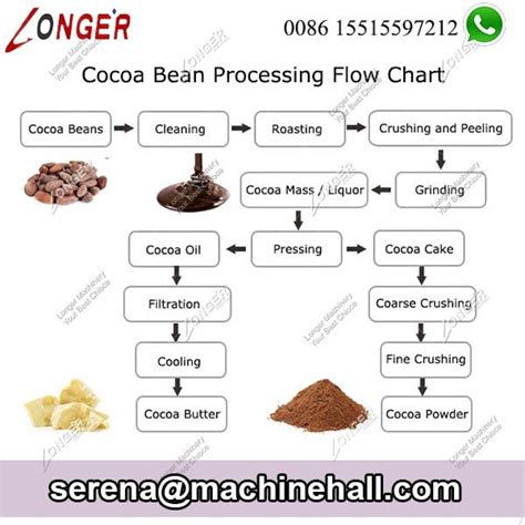 Cocoa Bean Processing Flow Chart in Factory | Cocoa powder, Cocoa, Cocoa butter