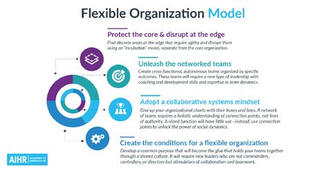 9 Organizational Design Models You Should Know - AIHR