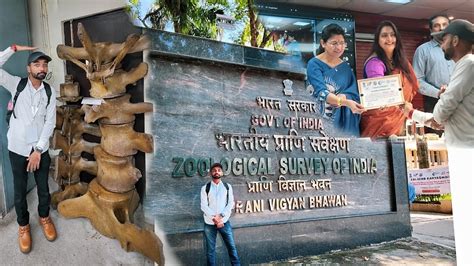 A Day Zoological Survey of India Headquarters, Kolkata - YouTube