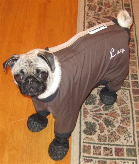 Items similar to Tootlewear's Dog Snowsuit with Attached Boots Reserve Listing for Julie on Etsy