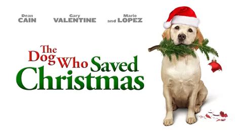 The Dog Who Saved Christmas | Xumo Play