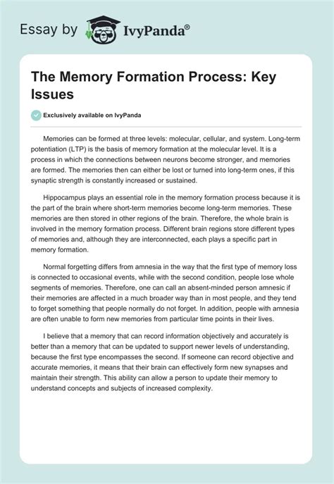 The Memory Formation Process: Key Issues - 286 Words | Essay Example