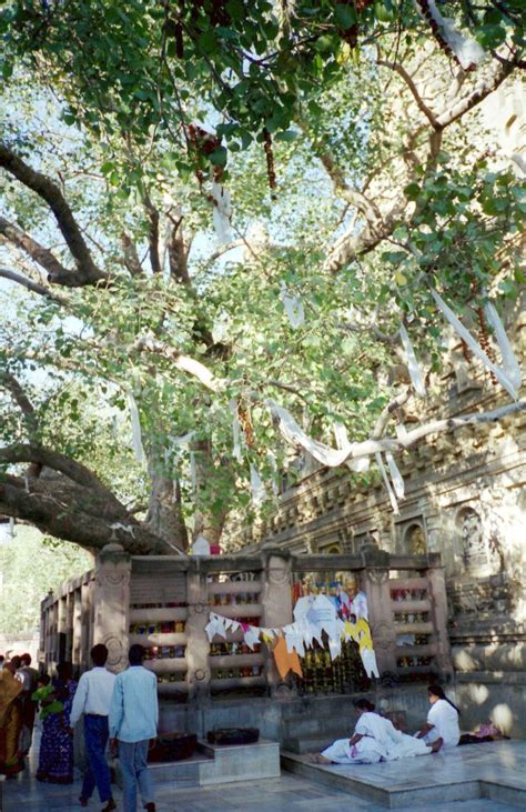 Mahabodhi Temple (Bodh Gaya) Historical Facts and Pictures | The History Hub