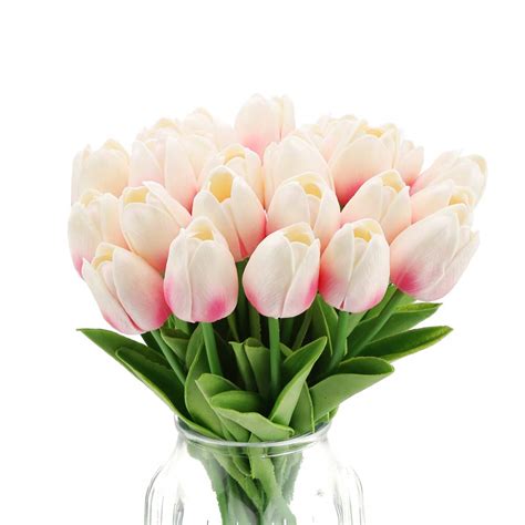 Top 100 arreglos de tulipanes y rosas - Abzlocal.mx