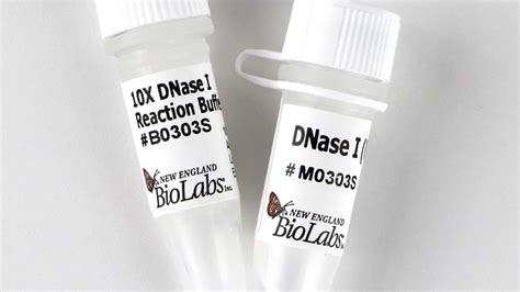 DNase I Reaction Buffer - BIOKÉ