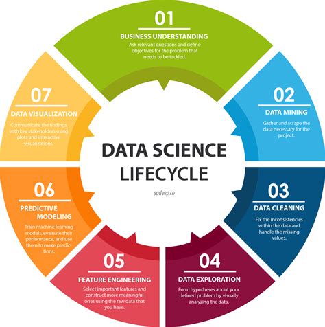 Understanding the Data Science Lifecycle