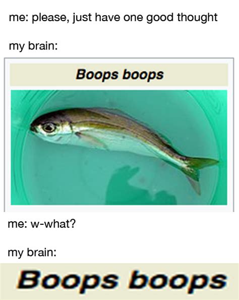 me🐟irl : r/me_irl