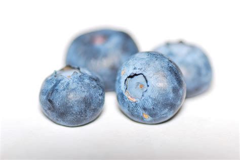 Free Images : fruit, food, berry, blue, sweet, isolated, blueberry ...