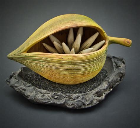 Cross-Pollination: Ceramic Seed Pod Project - Ms. Gross