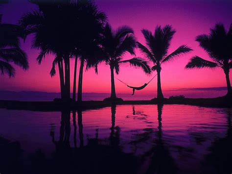 Purple Background To For, 80s Neon Beach HD wallpaper | Pxfuel