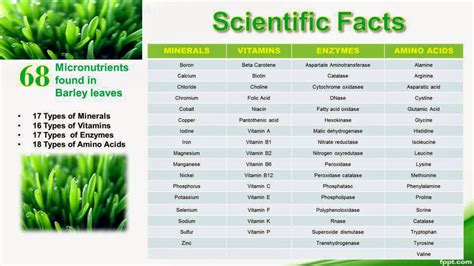 Health Is My Business: Barley Grass History And Forever Benefits